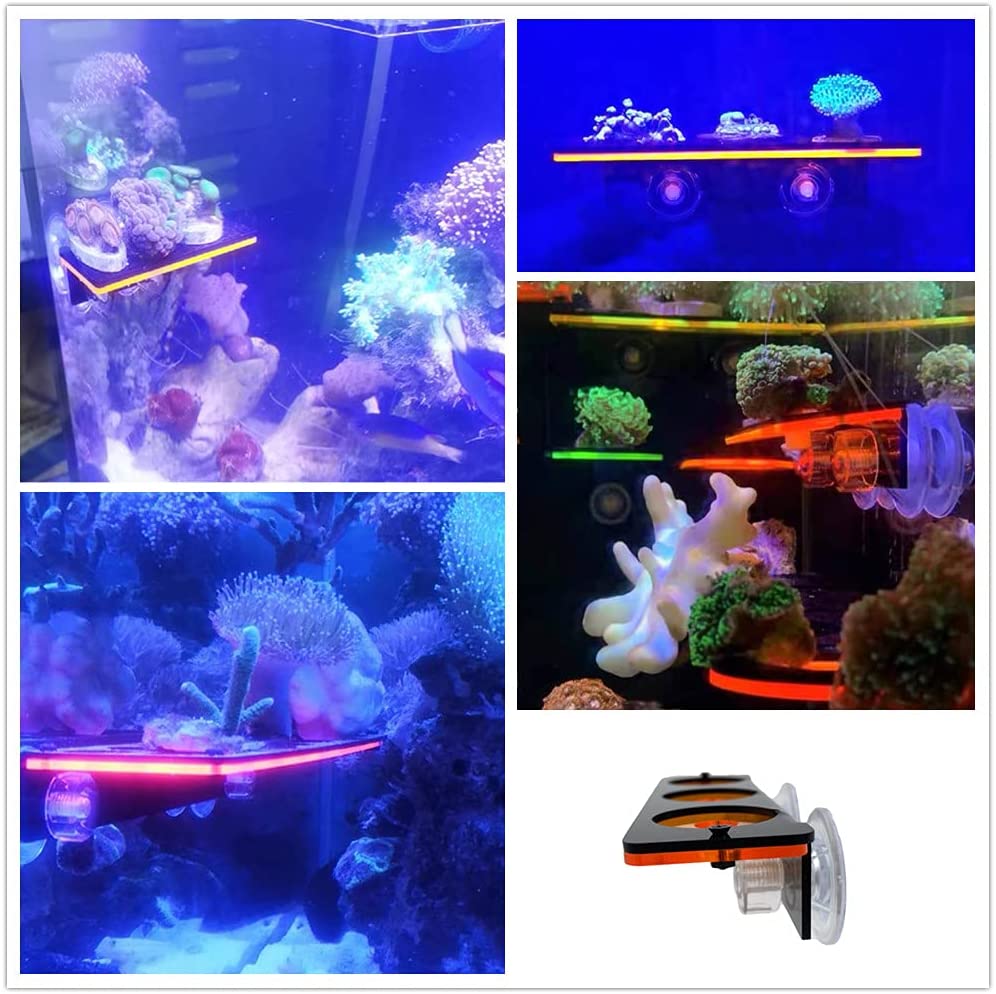 Fluorescente coral frag plug s - Aquarium Plant Holder avaliação e preço