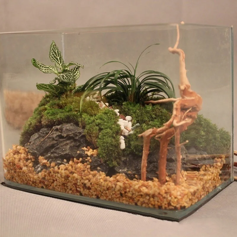 Tronco de árvore natural, made - Aquarium Plant Root Tabs avaliação e preço