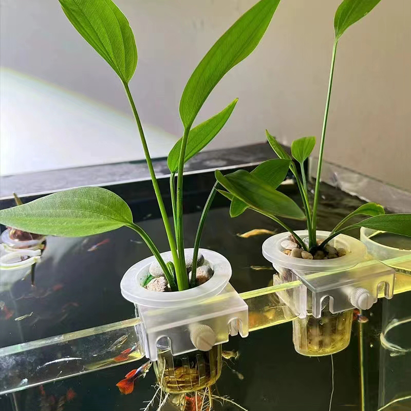 Cesta de plantio de aquário, s - Aquarium Plant Holder avaliação e preço