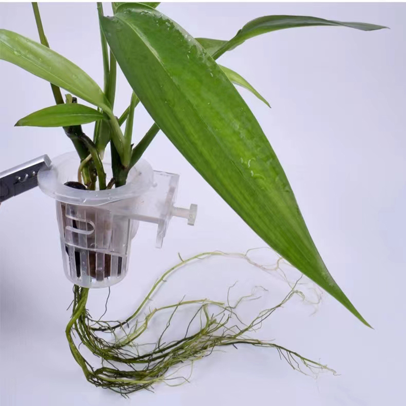 Cesta de plantio de aquário, s - Aquarium Plant Holder avaliação e preço